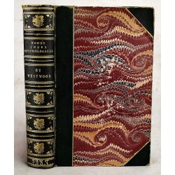 Index Entomologicus or, A Complete Illustrated Catalogue, Consisting of Upwards of Two Thousand Accurately Coloured Figures of the Lepidopterous Insects of Great Britain 